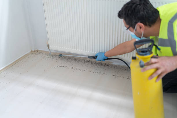 Best Cockroach Control Services  in Placentia, CA